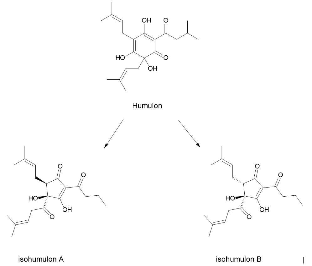 Humulon,
                                                isohumulon A, isohumulon B